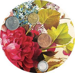 2018鑫產品 富貴花開，財源滾滾的水果盛宴